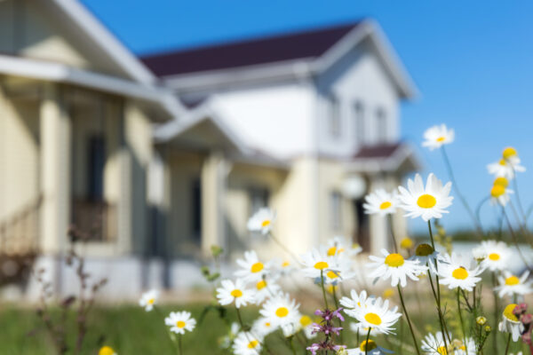 Your Indoor and Outdoor Spring Maintenance Checklist